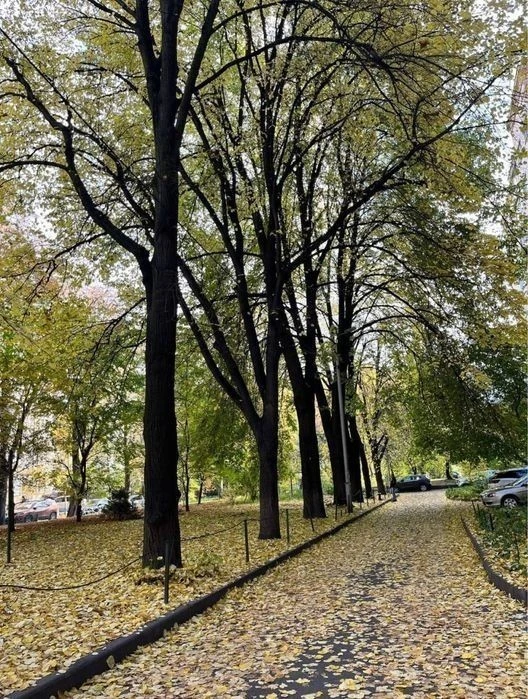 3-room apartment for sale, Lavrska 4, Ivan Mazepa, Arsen metro station