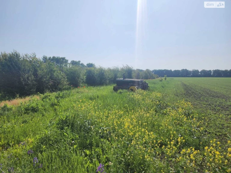 Agricultural land for sale Tyazhyliv