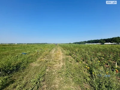 Продаж Земля сільськогосподарського призначення Старе місто
