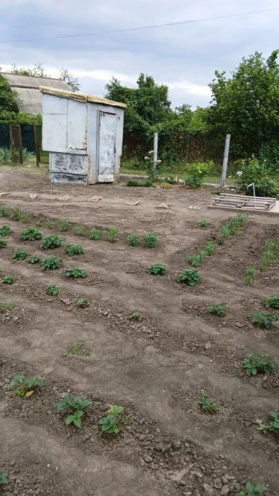 I will sell a cottage in the Parus cooperative