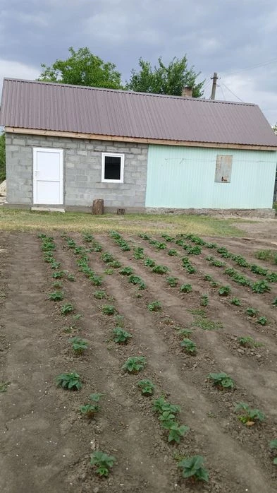 I will sell a cottage in the Parus cooperative