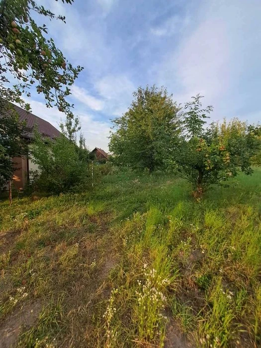Продаж будинку в Лісових Гринівцях LIN 46124