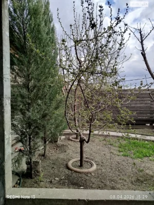 Продажа Дом Шевченковский
