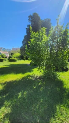 PLOT for sale in Arcadia, 12.28 acres, cooperative, 33m FACADE