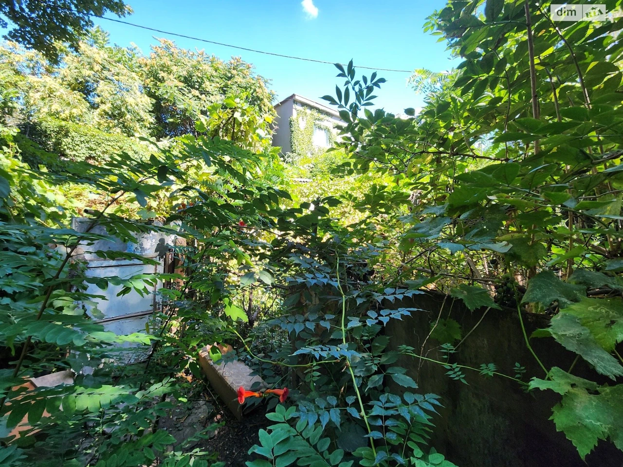 For sale Land for residential development Velykyi Fontan