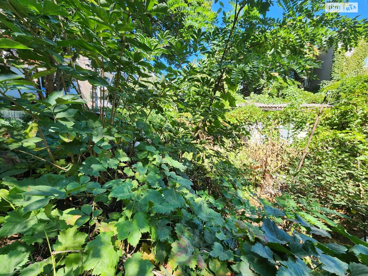 For sale Land for residential development Velykyi Fontan