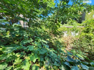 For sale Land for residential development Velykyi Fontan