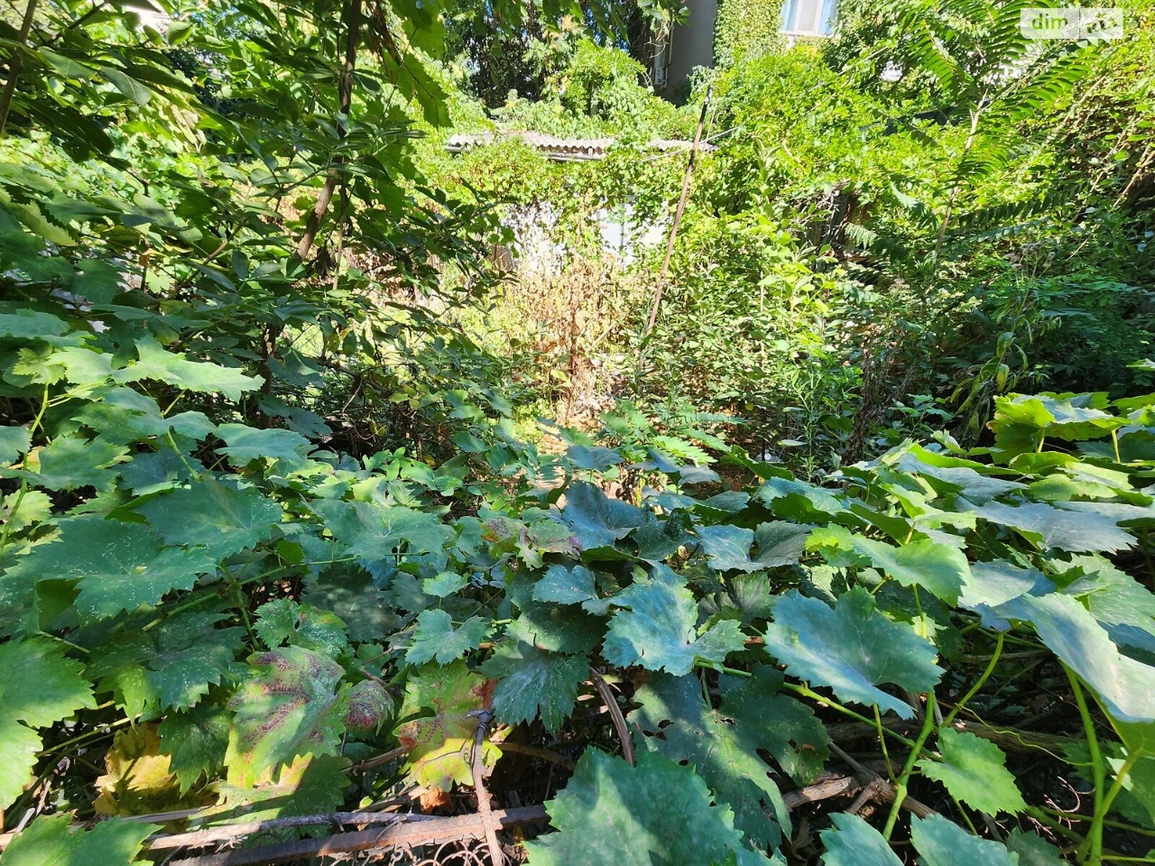 For sale Land for residential development Velykyi Fontan