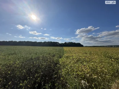 Продаж Земля сільськогосподарського призначення
