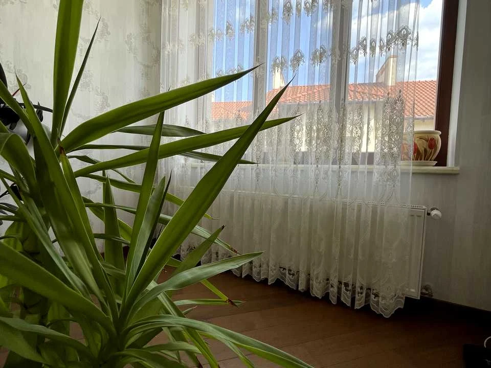 House. Odesa, Serhiia Efremova St. (Academician Vavilova)