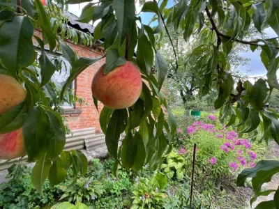 Продаж приватного будинку на дві половини