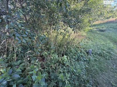Продаж Ділянка під житлову забудову