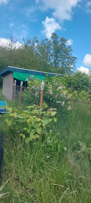 Ставок, Земля 10 соток Ружичанка 40000 доларів.