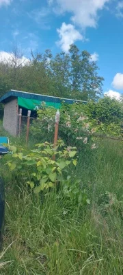 Ставок, Земля 10 соток Ружичанка 40000 доларів.