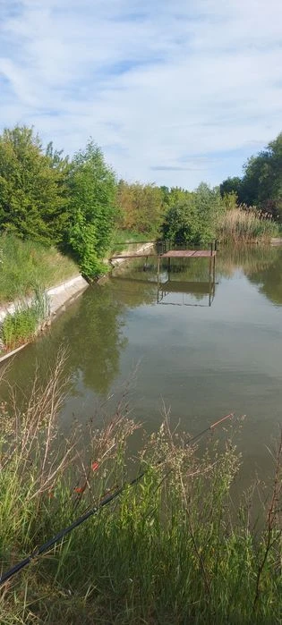 Ставок, Земля 10 соток Ружичанка 40000 доларів.