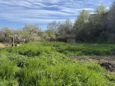 ‼️NO COMMISSION‼️ Plot in Chernomorka, 8 acres, str. Green