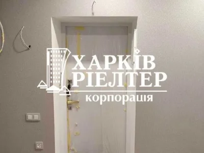 Apartment. Kharkiv, Professorskaya St.
