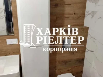 Apartment. Kharkiv, Professorskaya St.