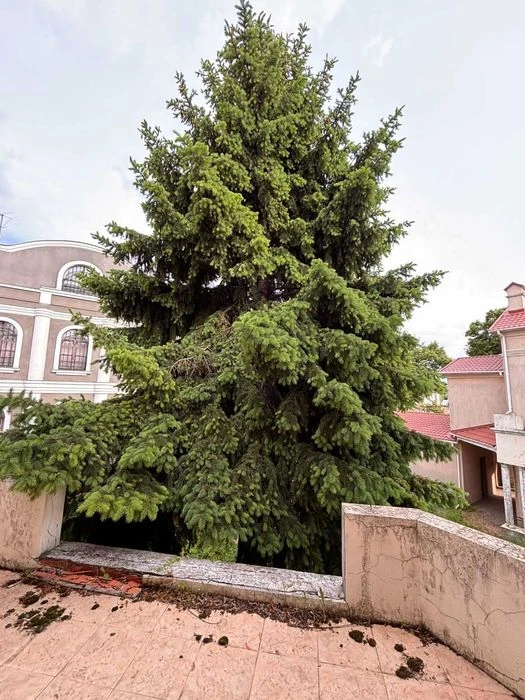Продам ДОМ -  Усадьба, 950 кв. м  7. ст Фонтана