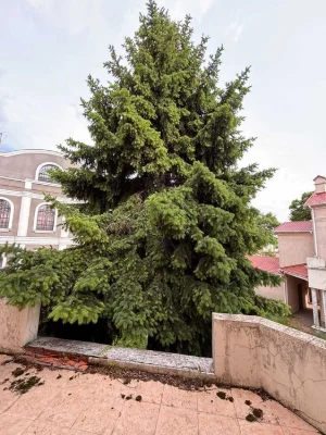 Продам ДОМ -  Усадьба, 950 кв. м  7. ст Фонтана