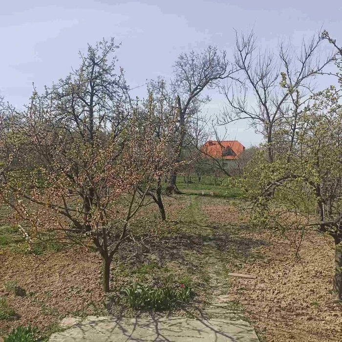 Part of the house for sale (3725)