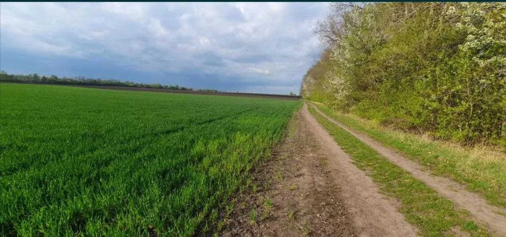 Продається земельна ділянка район Гавришівка 5827