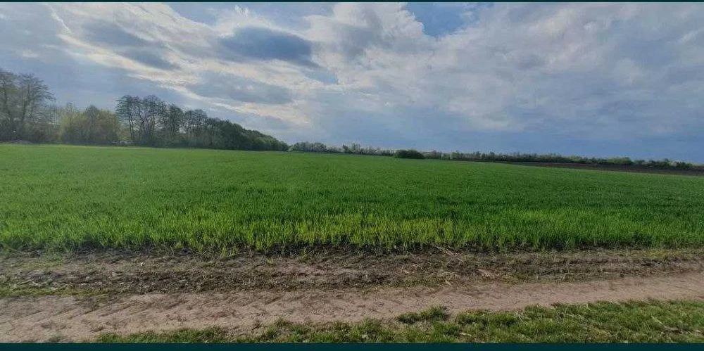 Продається земельна ділянка район Гавришівка 5827