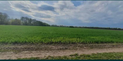 Продається земельна ділянка район Гавришівка 5827