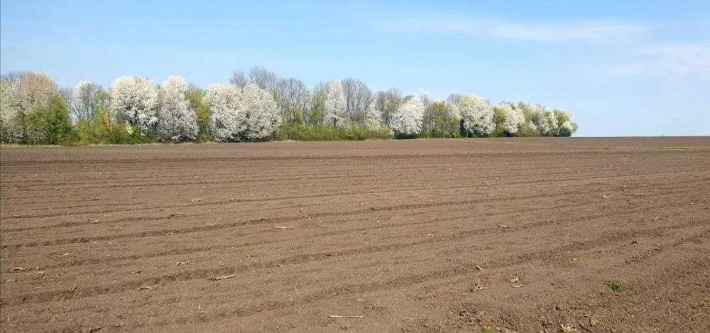 Продається земельна ділянка район Гавришівка 5827