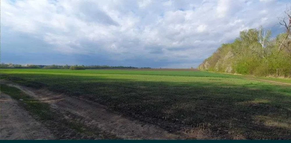 Продається земельна ділянка район Гавришівка 5827
