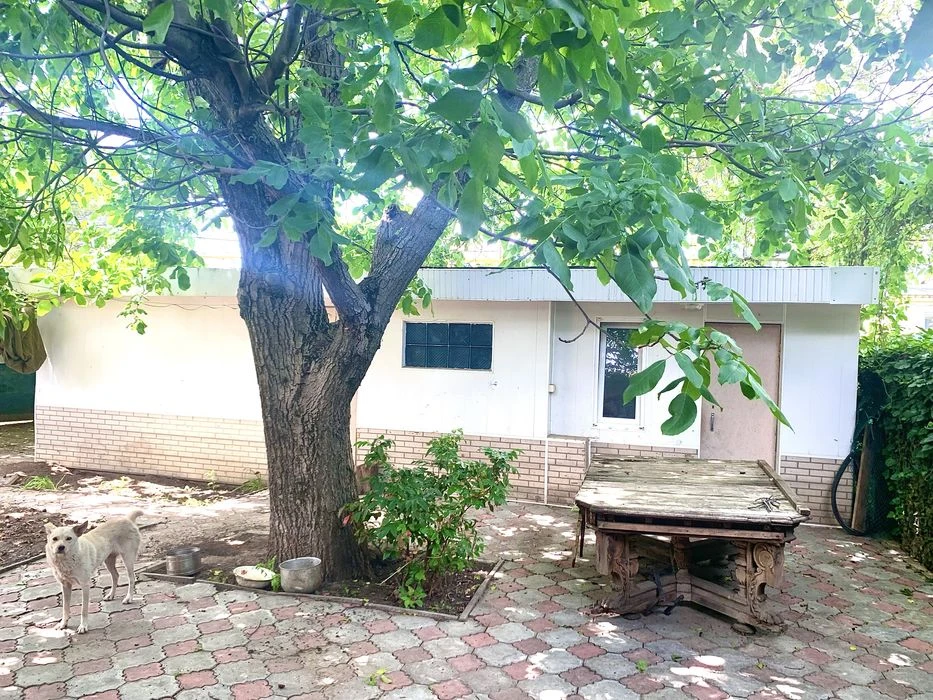 House Fontanka-2 sea side for sale