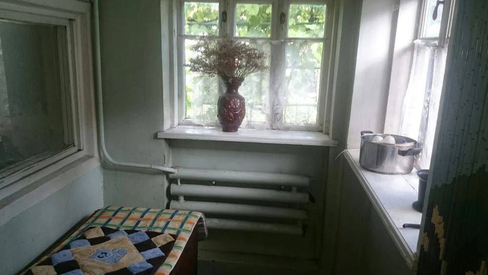 I will sell part of the house, Pishenyna St.