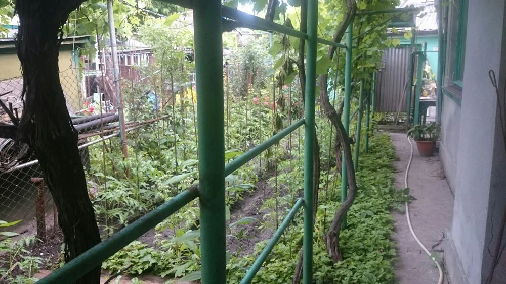 I will sell part of the house, Pishenyna St.