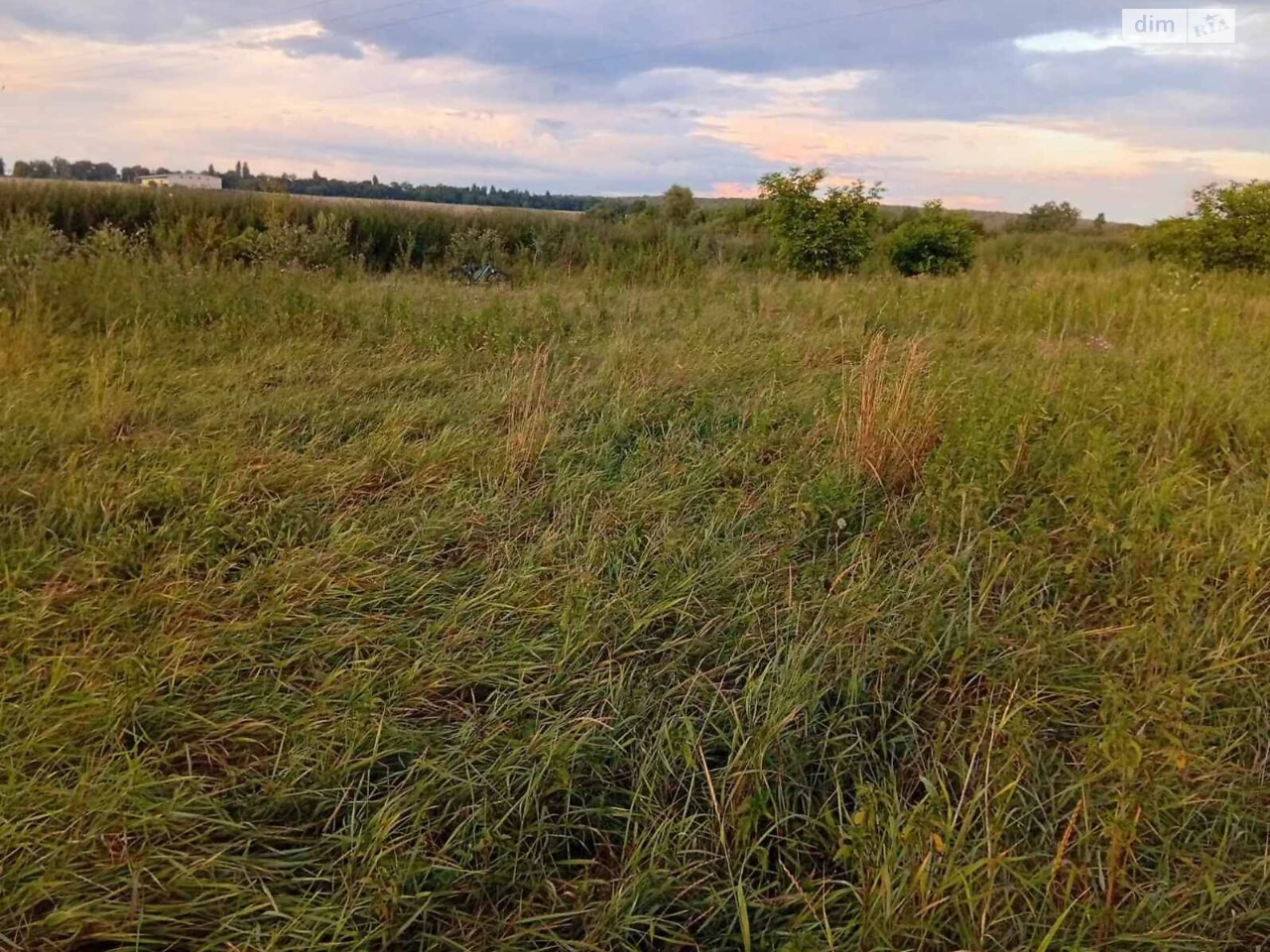 Продаж Земля сільськогосподарського призначення Лезневе