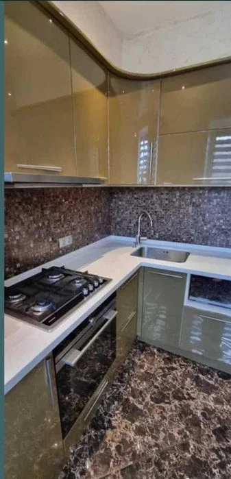 Apartment near Nauchnaya metro station
