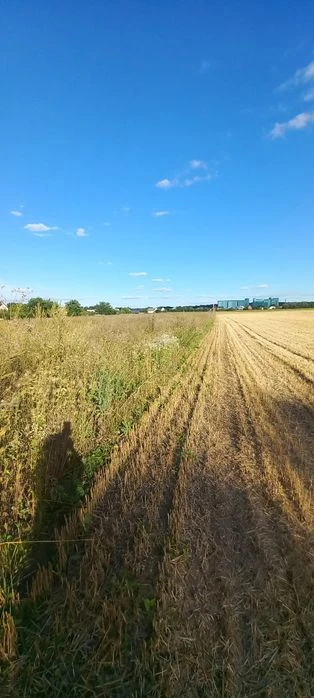 Продаж землі Десна