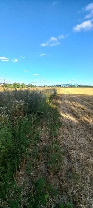 Продаж землі Десна