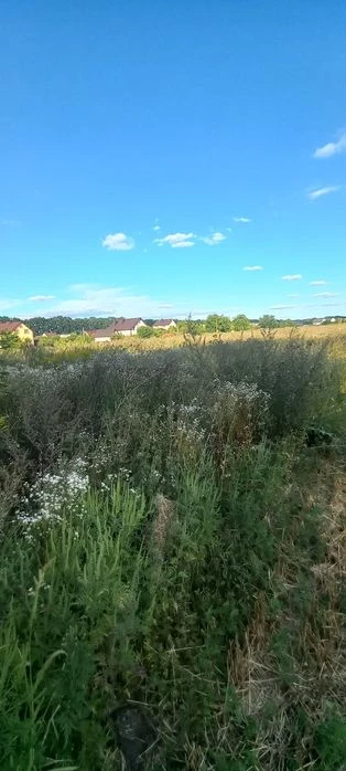 Продаж землі Десна