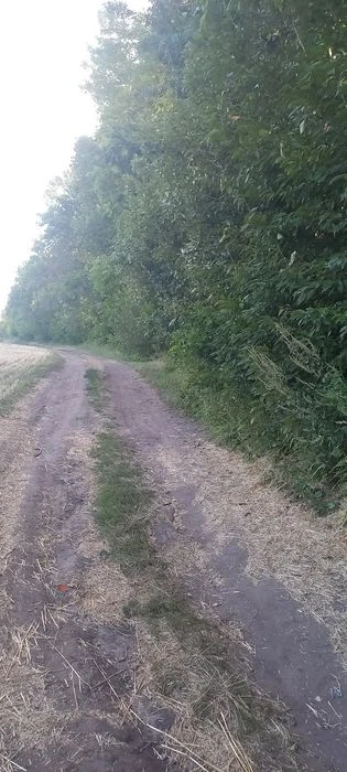 Продаж землі Десна