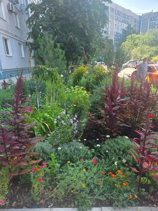 Продаж 3 к. кв. /кімнати окремі/, вул. Курузова, Бабурка.