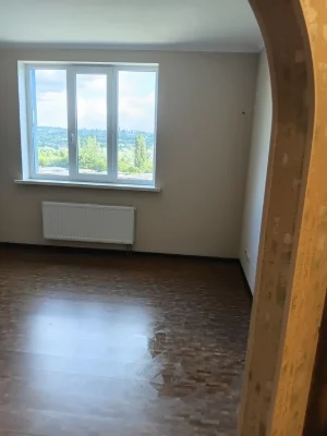 Selling an apartment in a new building