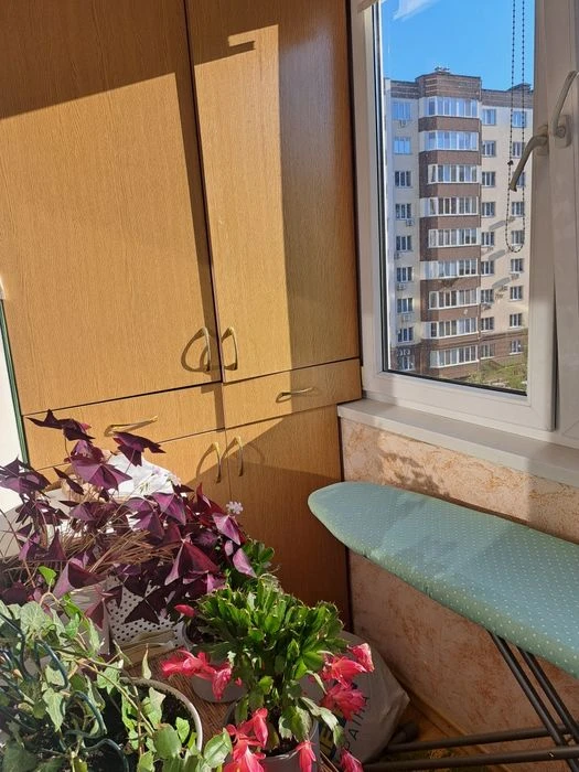 3х квартира  Народицька
