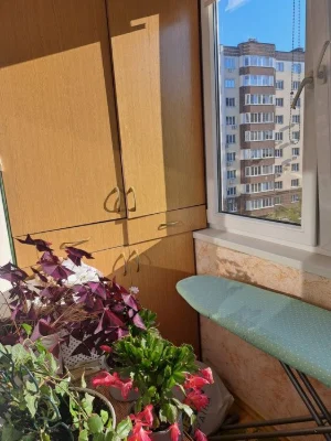 3х квартира  Народицька