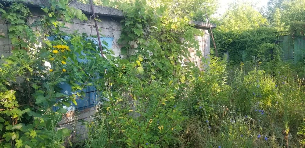 Дачу продам обменяю