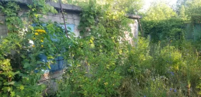 Дачу продам обменяю