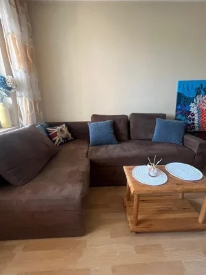 Discount until 31.08. Holosiivska 16, 2 separate apartments. Insulated