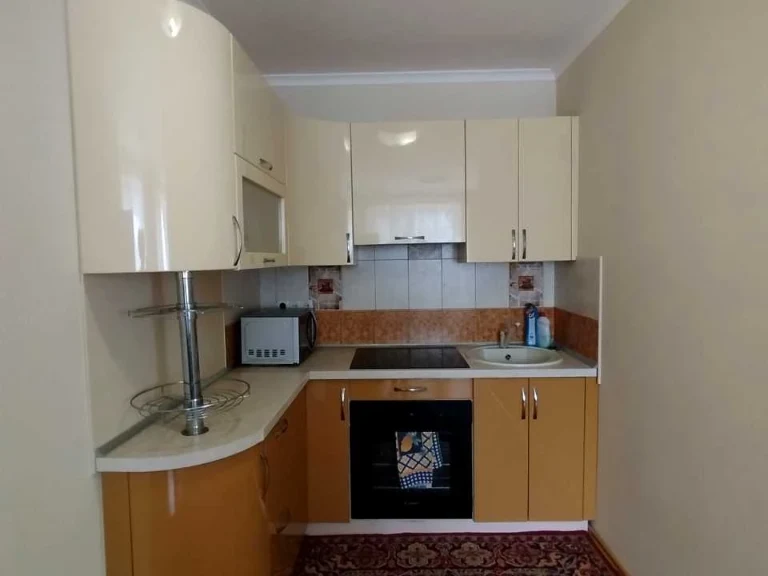 Apartment. Zaporizhzhia, Tsehelna St.