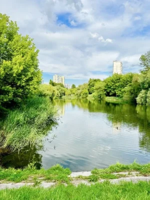 for sale 3-room apartment Saltovka metro Saltovskoe