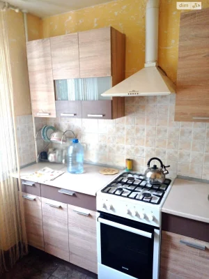 Long-term Rental Apartment Cheryomushki