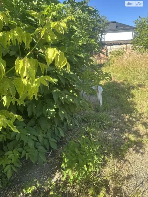 Продаж Ділянка під житлову забудову